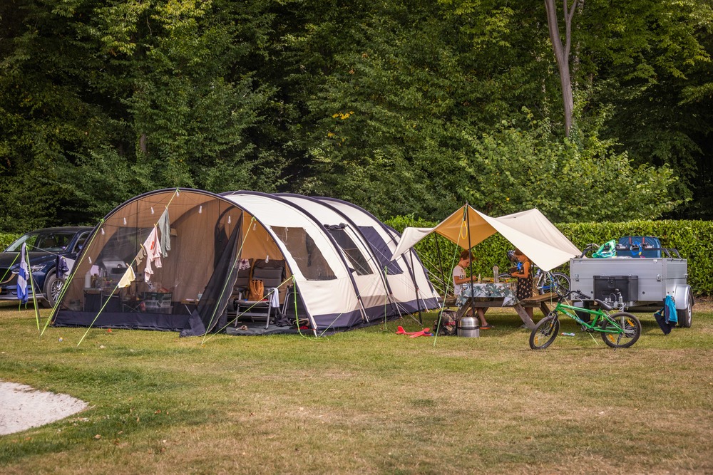 Comfortplaats zonder Huisdier