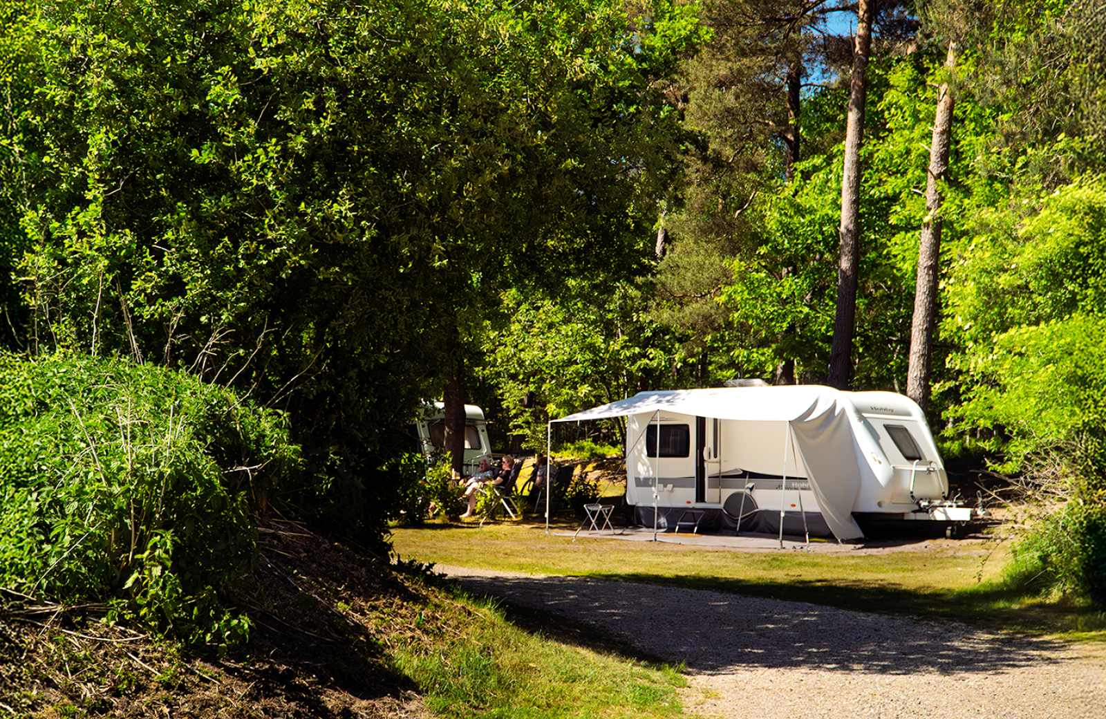 Extra comfort wild pitches - 10 amp.