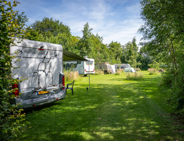Kampeerplaats boomgaard