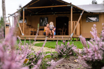 Tente safari GlampCamp